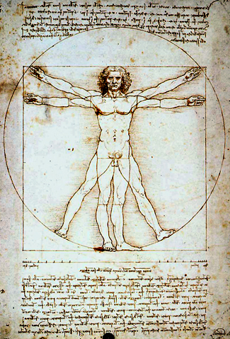 Vitruvian Man by Leonardo da Vinci