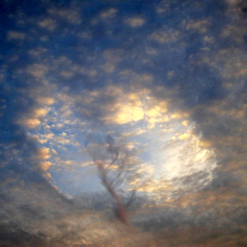 Winter Sky Portal by Jane Sherry