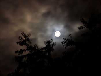 Full Moon over Claverack, NY by Jane Sherry