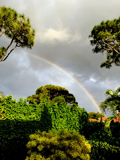 rainbow boca raton