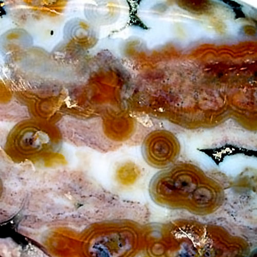 Ocean Jasper