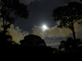 Moon over Boca by Jane Sherry