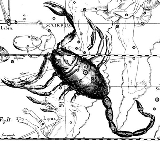 Constellation Scorpio by Hevelius