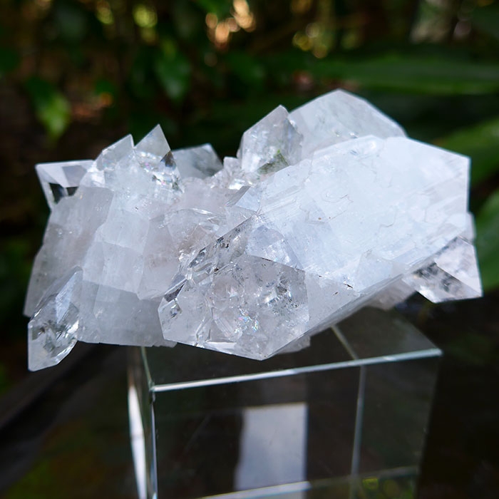 Diamond Face Apophyllite Druzy Cluster